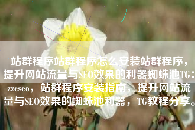 站群程序站群程序怎么安装站群程序，提升网站流量与SEO效果的利器蜘蛛池TG：zzcseo，站群程序安装指南，提升网站流量与SEO效果的蜘蛛池利器，TG教程分享。