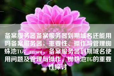 备案服务器备案服务器到期域名还能用吗备案服务器，重要性、操作与管理蜘蛛池TG：zzcseo，备案服务器到期域名使用问题及管理与操作，蜘蛛池TG的重要性探讨