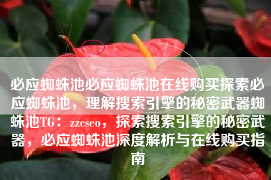 必应蜘蛛池必应蜘蛛池在线购买探索必应蜘蛛池，理解搜索引擎的秘密武器蜘蛛池TG：zzcseo，探索搜索引擎的秘密武器，必应蜘蛛池深度解析与在线购买指南