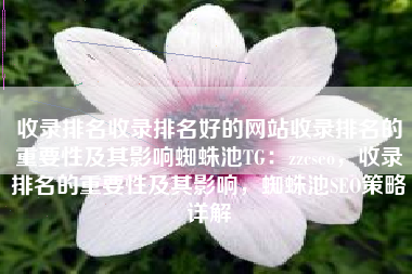 收录排名收录排名好的网站收录排名的重要性及其影响蜘蛛池TG：zzcseo，收录排名的重要性及其影响，蜘蛛池SEO策略详解