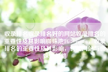 收录排名收录排名好的网站收录排名的重要性及其影响蜘蛛池TG：zzcseo，收录排名的重要性及其影响，优质网站与蜘蛛池策略