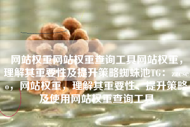 网站权重网站权重查询工具网站权重，理解其重要性及提升策略蜘蛛池TG：zzcseo，网站权重，理解其重要性、提升策略及使用网站权重查询工具