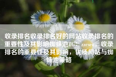收录排名收录排名好的网站收录排名的重要性及其影响蜘蛛池TG：zzcseo，收录排名的重要性及其影响，优质网站与蜘蛛池策略