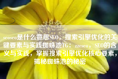 seoseo是什么意思SEO，搜索引擎优化的关键要素与实践蜘蛛池TG：zzcseo，SEO的含义与实践，掌握搜索引擎优化核心要素，揭秘蜘蛛池的秘密