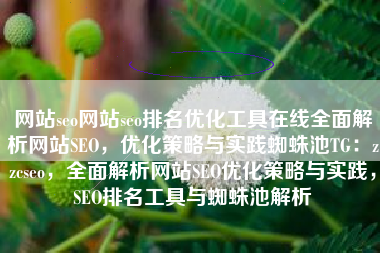 网站seo网站seo排名优化工具在线全面解析网站SEO，优化策略与实践蜘蛛池TG：zzcseo，全面解析网站SEO优化策略与实践，SEO排名工具与蜘蛛池解析