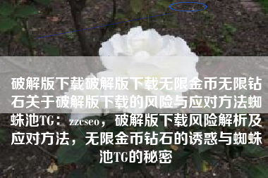 破解版下载破解版下载无限金币无限钻石关于破解版下载的风险与应对方法蜘蛛池TG：zzcseo，破解版下载风险解析及应对方法，无限金币钻石的诱惑与蜘蛛池TG的秘密