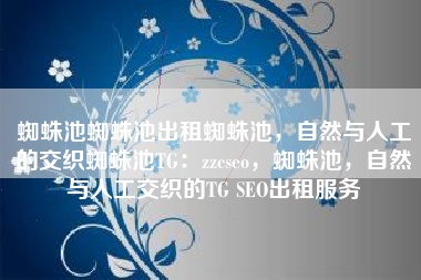 蜘蛛池蜘蛛池出租蜘蛛池，自然与人工的交织蜘蛛池TG：zzcseo，蜘蛛池，自然与人工交织的TG SEO出租服务