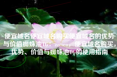 便宜域名便宜域名购买便宜域名的优势与价值蜘蛛池TG：zzcseo，便宜域名购买，优势、价值与蜘蛛池TG的使用指南