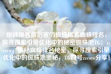 蜘蛛排名最厉害的蜘蛛排名蜘蛛排名，探寻搜索引擎优化中的秘密蜘蛛池TG：zzcseo，揭秘蜘蛛排名秘密，探寻搜索引擎优化中的蜘蛛池奥秘，TG群号zzcseo分享！