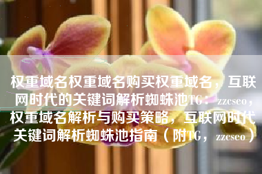 权重域名权重域名购买权重域名，互联网时代的关键词解析蜘蛛池TG：zzcseo，权重域名解析与购买策略，互联网时代关键词解析蜘蛛池指南（附TG，zzcseo）