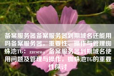 备案服务器备案服务器到期域名还能用吗备案服务器，重要性、操作与管理蜘蛛池TG：zzcseo，备案服务器到期域名使用问题及管理与操作，蜘蛛池TG的重要性探讨