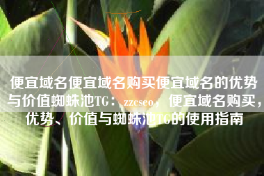 便宜域名便宜域名购买便宜域名的优势与价值蜘蛛池TG：zzcseo，便宜域名购买，优势、价值与蜘蛛池TG的使用指南