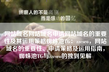 网站域名网站域名申请网站域名的重要性及其运用策略蜘蛛池TG：zzcseo，网站域名的重要性、申请策略及运用指南，蜘蛛池TG与zzcseo的独到见解