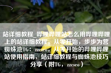 站详细教程_哔哩哔哩站怎么用哔哩哔哩上的站详细教程，从零开始，步步为营蜘蛛池TG：zzcseo，从零开始的哔哩哔哩站使用指南，站详细教程与蜘蛛池技巧分享（附TG，zzcseo）