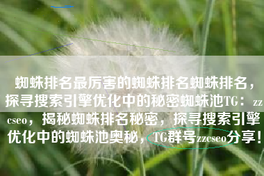 蜘蛛排名最厉害的蜘蛛排名蜘蛛排名，探寻搜索引擎优化中的秘密蜘蛛池TG：zzcseo，揭秘蜘蛛排名秘密，探寻搜索引擎优化中的蜘蛛池奥秘，TG群号zzcseo分享！