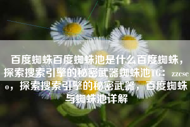 百度蜘蛛百度蜘蛛池是什么百度蜘蛛，探索搜索引擎的秘密武器蜘蛛池TG：zzcseo，探索搜索引擎的秘密武器，百度蜘蛛与蜘蛛池详解