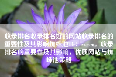 收录排名收录排名好的网站收录排名的重要性及其影响蜘蛛池TG：zzcseo，收录排名的重要性及其影响，优质网站与蜘蛛池策略