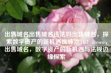 出售域名出售域名违法吗出售域名，探索数字资产的新机遇蜘蛛池TG：zzcseo，出售域名，数字资产的新机遇与法规边缘探索