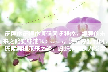 泛程序泛程序源码网泛程序，编程的未来之路蜘蛛池TG：zzcseo，泛程序源码网，探索编程未来之路，蜘蛛池TG助力发展