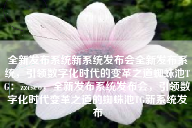 全新发布系统新系统发布会全新发布系统，引领数字化时代的变革之道蜘蛛池TG：zzcseo，全新发布系统发布会，引领数字化时代变革之道的蜘蛛池TG新系统发布