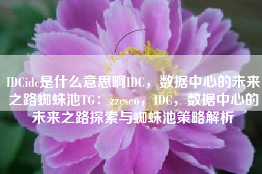 IDCidc是什么意思啊IDC，数据中心的未来之路蜘蛛池TG：zzcseo，IDC，数据中心的未来之路探索与蜘蛛池策略解析