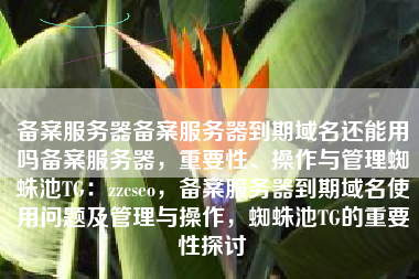 备案服务器备案服务器到期域名还能用吗备案服务器，重要性、操作与管理蜘蛛池TG：zzcseo，备案服务器到期域名使用问题及管理与操作，蜘蛛池TG的重要性探讨