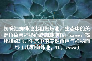 蜘蛛池蜘蛛池出租蜘蛛池，生态中的关键角色与神秘面纱蜘蛛池TG：zzcseo，揭秘蜘蛛池，生态中的关键角色与神秘面纱（出租蜘蛛池，TG，zzcseo）