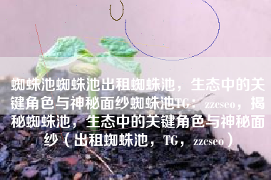 蜘蛛池蜘蛛池出租蜘蛛池，生态中的关键角色与神秘面纱蜘蛛池TG：zzcseo，揭秘蜘蛛池，生态中的关键角色与神秘面纱（出租蜘蛛池，TG，zzcseo）