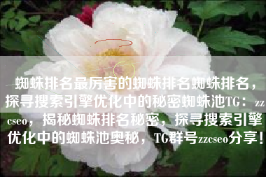 蜘蛛排名最厉害的蜘蛛排名蜘蛛排名，探寻搜索引擎优化中的秘密蜘蛛池TG：zzcseo，揭秘蜘蛛排名秘密，探寻搜索引擎优化中的蜘蛛池奥秘，TG群号zzcseo分享！