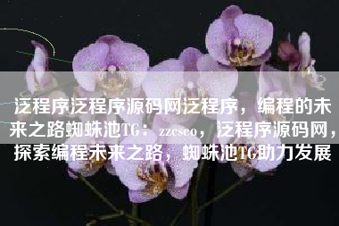 泛程序泛程序源码网泛程序，编程的未来之路蜘蛛池TG：zzcseo，泛程序源码网，探索编程未来之路，蜘蛛池TG助力发展