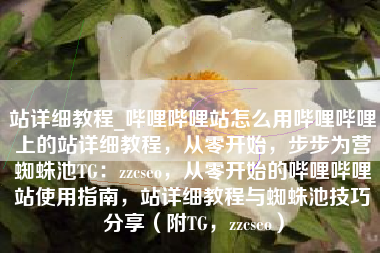 站详细教程_哔哩哔哩站怎么用哔哩哔哩上的站详细教程，从零开始，步步为营蜘蛛池TG：zzcseo，从零开始的哔哩哔哩站使用指南，站详细教程与蜘蛛池技巧分享（附TG，zzcseo）
