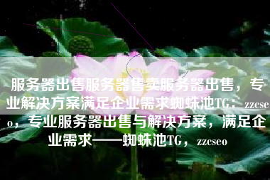 服务器出售服务器售卖服务器出售，专业解决方案满足企业需求蜘蛛池TG：zzcseo，专业服务器出售与解决方案，满足企业需求——蜘蛛池TG，zzcseo