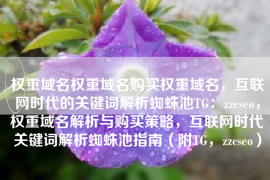 权重域名权重域名购买权重域名，互联网时代的关键词解析蜘蛛池TG：zzcseo，权重域名解析与购买策略，互联网时代关键词解析蜘蛛池指南（附TG，zzcseo）