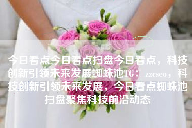 今日看点今日看点扫盘今日看点，科技创新引领未来发展蜘蛛池TG：zzcseo，科技创新引领未来发展，今日看点蜘蛛池扫盘聚焦科技前沿动态