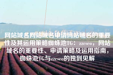 网站域名网站域名申请网站域名的重要性及其运用策略蜘蛛池TG：zzcseo，网站域名的重要性、申请策略及运用指南，蜘蛛池TG与zzcseo的独到见解