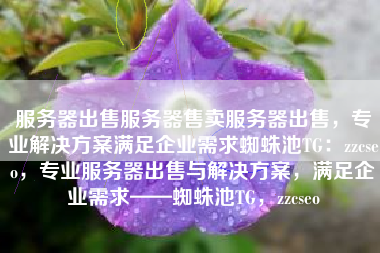 服务器出售服务器售卖服务器出售，专业解决方案满足企业需求蜘蛛池TG：zzcseo，专业服务器出售与解决方案，满足企业需求——蜘蛛池TG，zzcseo