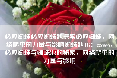 必应蜘蛛必应蜘蛛池探索必应蜘蛛，网络爬虫的力量与影响蜘蛛池TG：zzcseo，必应蜘蛛与蜘蛛池的秘密，网络爬虫的力量与影响