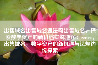 出售域名出售域名违法吗出售域名，探索数字资产的新机遇蜘蛛池TG：zzcseo，出售域名，数字资产的新机遇与法规边缘探索