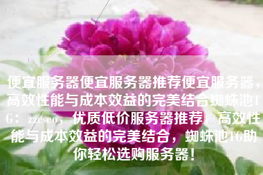 便宜服务器便宜服务器推荐便宜服务器，高效性能与成本效益的完美结合蜘蛛池TG：zzcseo，优质低价服务器推荐，高效性能与成本效益的完美结合，蜘蛛池TG助你轻松选购服务器！