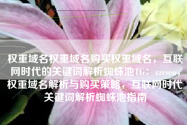 权重域名权重域名购买权重域名，互联网时代的关键词解析蜘蛛池TG：zzcseo，权重域名解析与购买策略，互联网时代关键词解析蜘蛛池指南