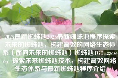 2025最新蜘蛛池2025最新蜘蛛池程序探索未来的蜘蛛池，构建高效的网络生态体系（面向未来的蜘蛛池）蜘蛛池TG：zzcseo，探索未来蜘蛛池技术，构建高效网络生态体系与最新蜘蛛池程序介绍
