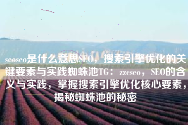 seoseo是什么意思SEO，搜索引擎优化的关键要素与实践蜘蛛池TG：zzcseo，SEO的含义与实践，掌握搜索引擎优化核心要素，揭秘蜘蛛池的秘密