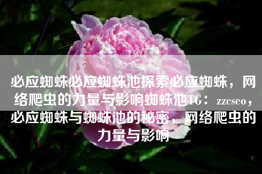 必应蜘蛛必应蜘蛛池探索必应蜘蛛，网络爬虫的力量与影响蜘蛛池TG：zzcseo，必应蜘蛛与蜘蛛池的秘密，网络爬虫的力量与影响