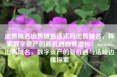 出售域名出售域名违法吗出售域名，探索数字资产的新机遇蜘蛛池TG：zzcseo，出售域名，数字资产的新机遇与法规边缘探索