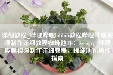详细教程_哔哩哔哩bilibili教程哔哩哔哩视频制作详细教程蜘蛛池TG：zzcseo，哔哩哔哩视频制作详细教程，蜘蛛池TG操作指南
