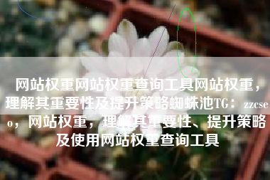 网站权重网站权重查询工具网站权重，理解其重要性及提升策略蜘蛛池TG：zzcseo，网站权重，理解其重要性、提升策略及使用网站权重查询工具