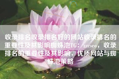 收录排名收录排名好的网站收录排名的重要性及其影响蜘蛛池TG：zzcseo，收录排名的重要性及其影响，优质网站与蜘蛛池策略