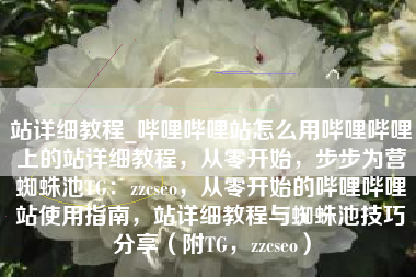 站详细教程_哔哩哔哩站怎么用哔哩哔哩上的站详细教程，从零开始，步步为营蜘蛛池TG：zzcseo，从零开始的哔哩哔哩站使用指南，站详细教程与蜘蛛池技巧分享（附TG，zzcseo）