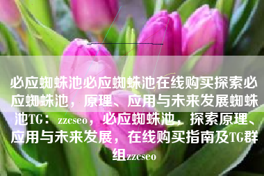 必应蜘蛛池必应蜘蛛池在线购买探索必应蜘蛛池，原理、应用与未来发展蜘蛛池TG：zzcseo，必应蜘蛛池，探索原理、应用与未来发展，在线购买指南及TG群组zzcseo