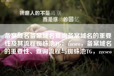 备案域名备案域名查询备案域名的重要性及其流程蜘蛛池TG：zzcseo，备案域名的重要性、查询流程与蜘蛛池TG，zzcseo